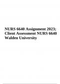 NURS 6640 / NURS6640 Assignment | Client Assessment.