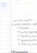 Ancient Mesopotamia Lecture Notes