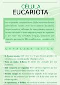 Resumen Célula Eucariota 