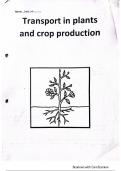 Transport in Plants and Crop Production