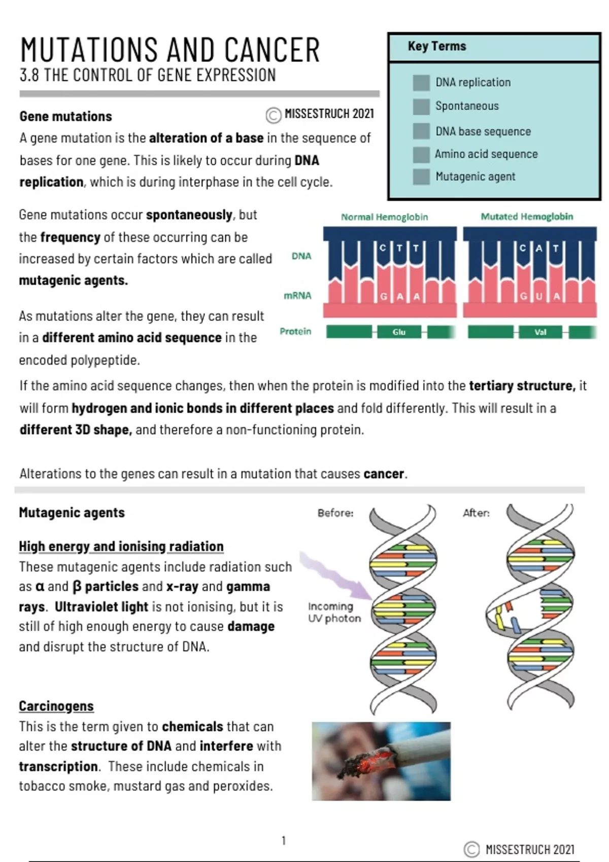 Summary A Level Biology by Miss Estruch Unit 8 The control of gene