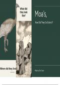 How did Moas go Extinct&quest;