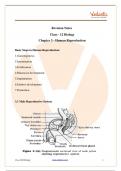 Class 12 Biology Notes, Human Reproduction System 