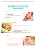 desarrollo motor grueso de los bebés en su primer año de vida
