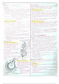 IB Biology SL 2 notes