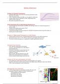 Stem Cells Week 12 Lecture Notes