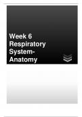BIOS255 Week 6 Respiratory System-Anatomy - Lab