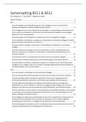 Volledige samenvatting -  Toetsmatrijs Beroepssituatie 11 en 12 (VBS11&12-19)
