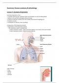 Summary human anatomy & physiology -respiration