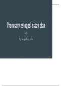 Promisory Estoppel Essay Plan