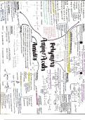 Summary Sheet of Polymers, Amino Acids and Amides, A-Level Chemistry