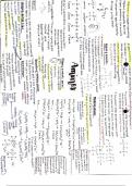 Summary Sheet of Amines, A-Level Chemistry