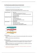 Edexcel A level and AS level geography tectonics KI1&period;3 summary notes