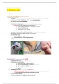 Dierziekten landbouwdieren - Samenvatting L3 - schaap & geit