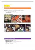 Dierziekten landbouwdieren - Samenvatting L5 - konijn