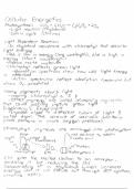 AP Biology Unit 3 - Cellular Energetics Notes