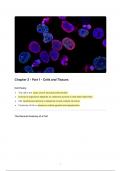 Chapter 3 - Cells and Tissues Part 1