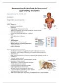 Samenvatting deeltentamen 2 dierfysiologie spijsvertering en excretie