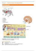 Dierziekten gezelschapsdieren - Samenvatting L4 - endocrinologie & bewegingsstelsel