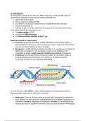 Genética Molecular 2ºBACH