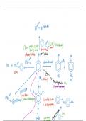 All reactions of aromaticity