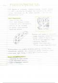 AQA A level biology energy transfers full revision notes