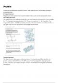 Chemistry Alevel Unit 3.3.13 - Protein Notes