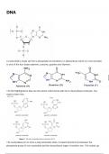 AQA Alevel Chemistry Amino acids, DNA, Proteins Notes (Biochemistry Topic)