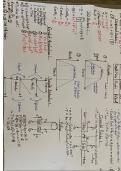 A Level  Mechanics AS and A2 summary sheet