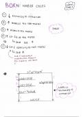 Born Haber Cycles -  Unit 3.1.8 - Thermodynamics (Chemistry AQA A-Level) 