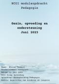 Geslaagde NCOI moduleopdracht Pedagogie - Begeleiden van kinderen en jongeren - gezin opvoeding en ondersteuning 2023