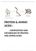 PROTEIN: COMPOSITON AND METABOLISM OF PROTEIN