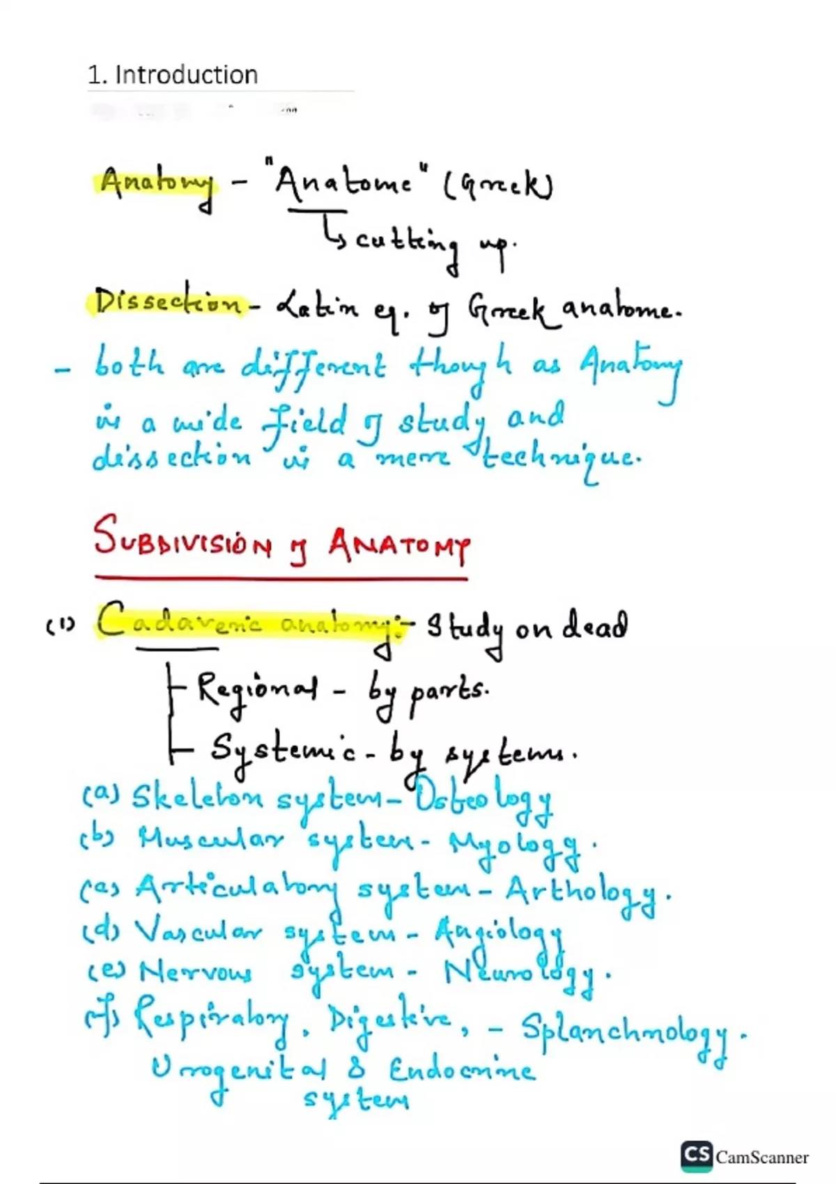 Basic Anatomy - Medicine 1 - Stuvia US