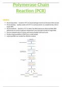 OCR A-Level Biology 6.3.4 Polymerase Chain Reaction