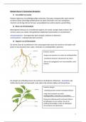 biologie samenvatting -  homeostase bij planten