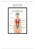 Samenvatting -  anatomie en fysiologie