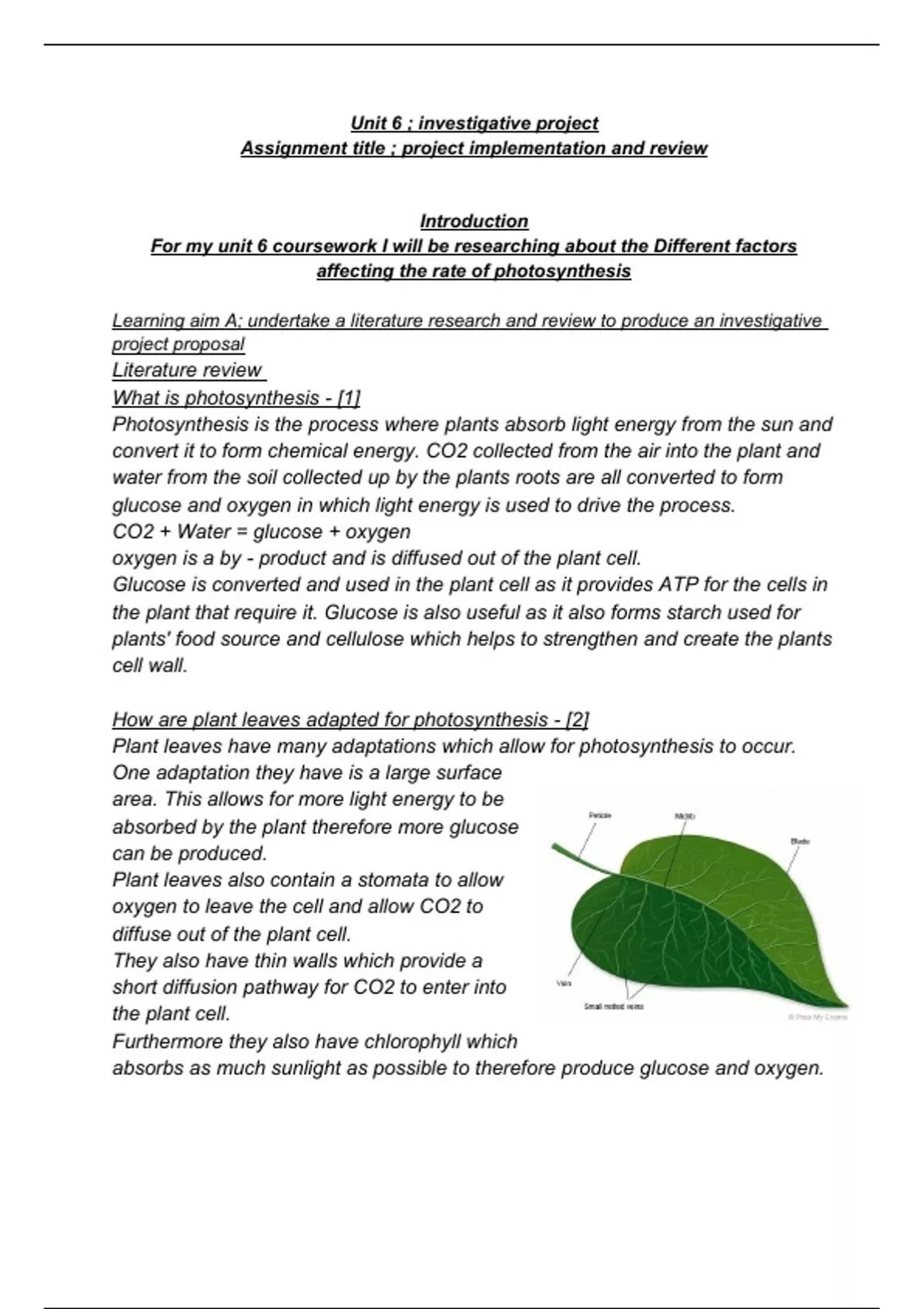 unit 6 applied science level 3 literature review