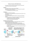 Cofactors&comma; Coenzymes and prosthetic groups A&ast; A level biology OCR notes 
