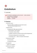 endothelial physiology