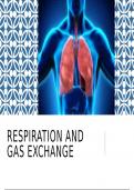Cambridge IGCSE Biology - Respiration and Gas Exchange