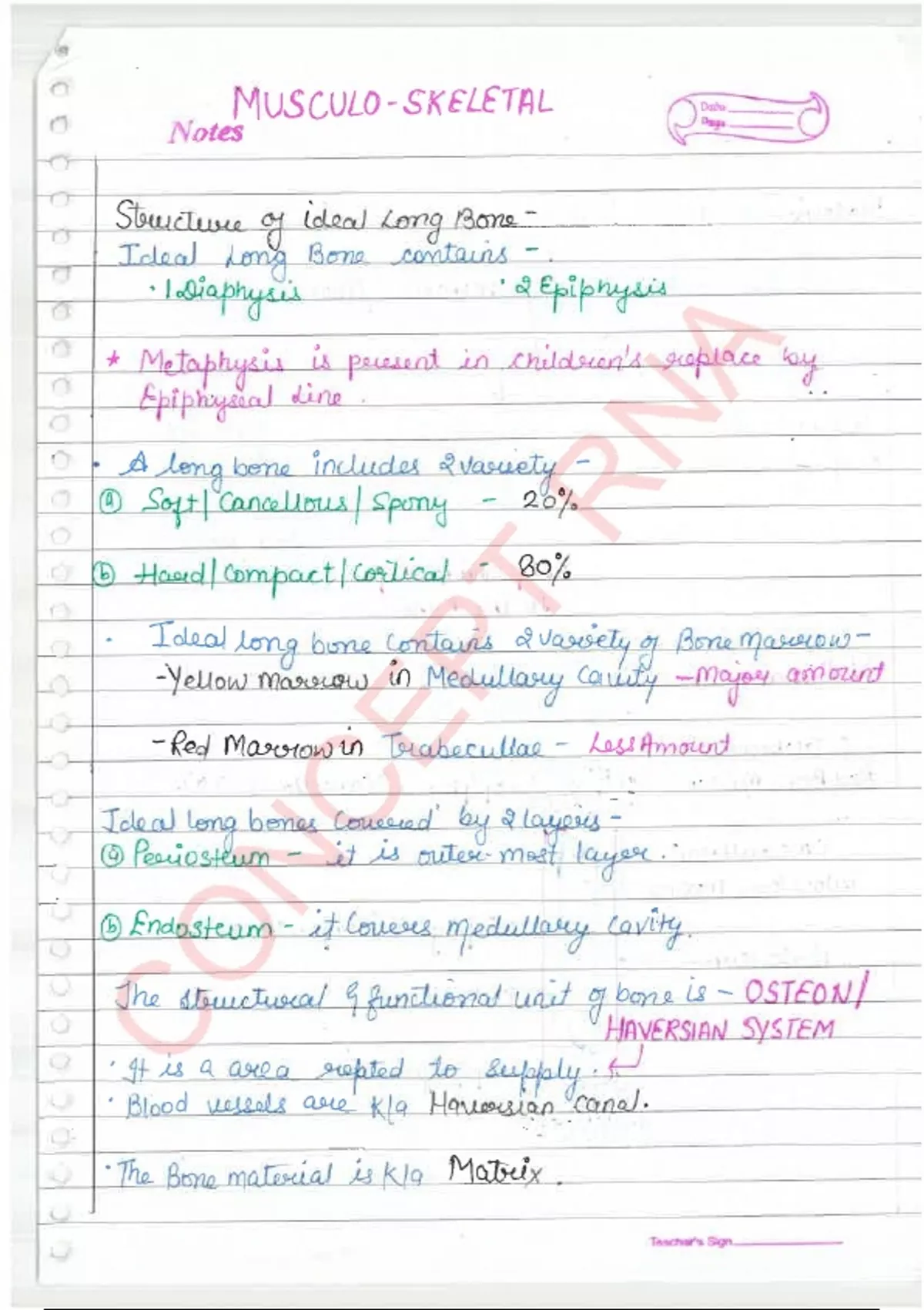 MUSCULO SKELETON SYSTEM Complete Handwritten Notes - Nursing course ...