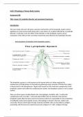 Unit 8 - Physiology of Human Body Systems