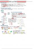 AQA ALEVEL BIOLOGY NOTES ON DNA AND RNA AS LEVEL