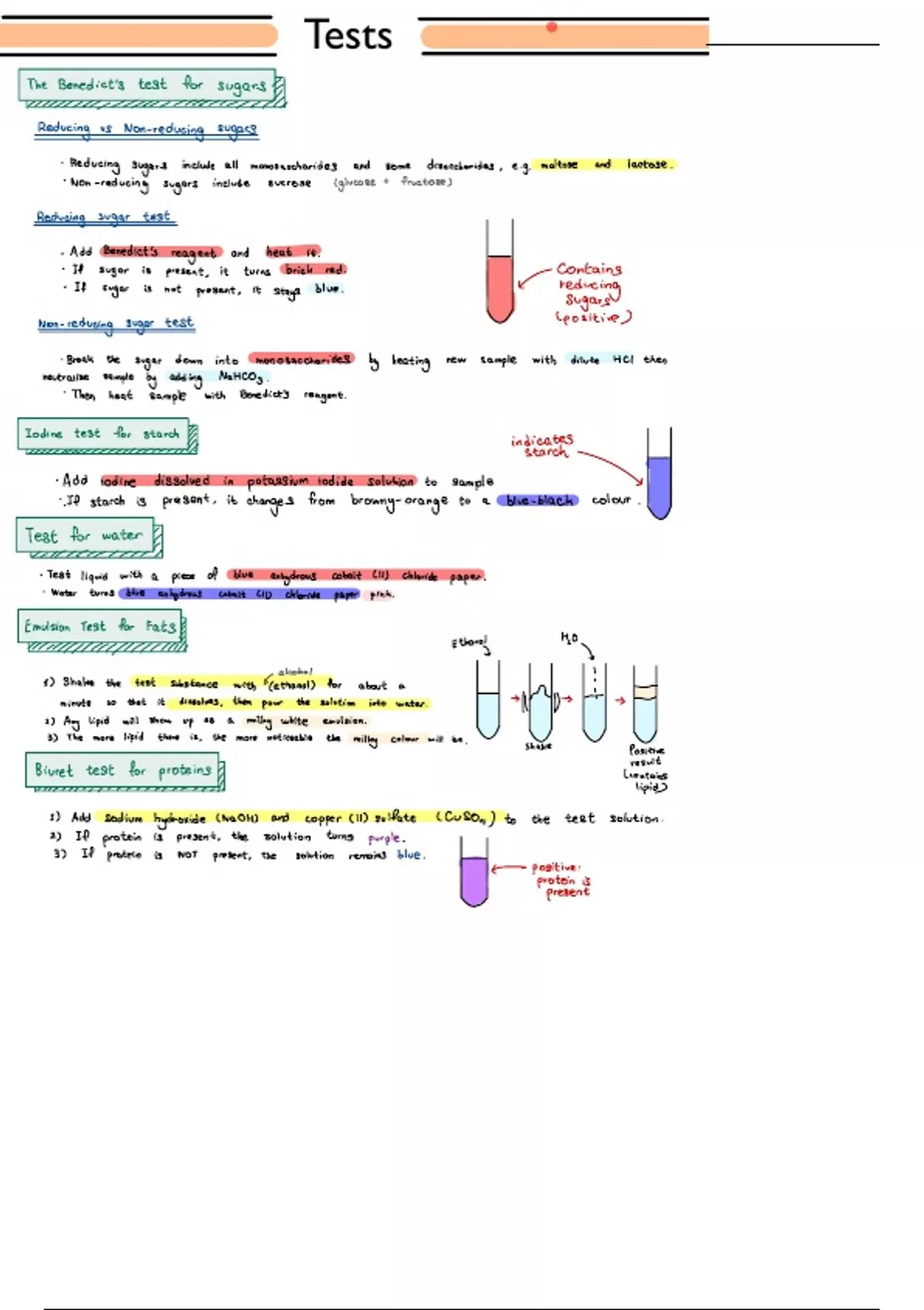 Summary AQA ALEVEL BIOLOGY NOTES ON BIOLOGICAL MOLECULE TESTS AS LEVELALEVEL NOTES ON THE