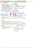 AQA ALEVEL BIOLOGY NOTES ON CELL CYCLE AS LEVEL