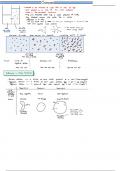 AQA ALEVEL BIOLOGY NOTES ON CELL TRANSPORT AS LEVEL