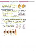 AQA ALEVEL BIOLOGY NOTES ON ABSORPTION OF GLUCOSE