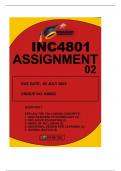 INC4801 ASSIGNMENT 2 2023 