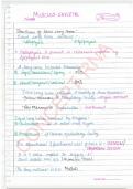 MUSCULO SKELETON SYSTEM Complete Handwritten Notes.