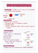DNA and nucleotides notes